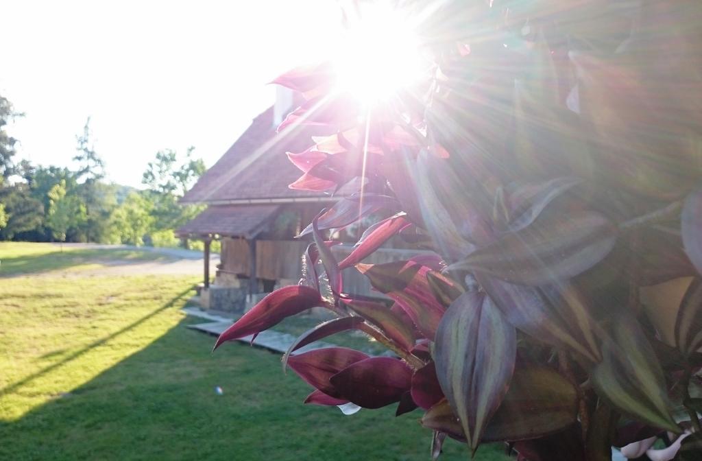 Rustic Home Mia Duga Resa Room photo